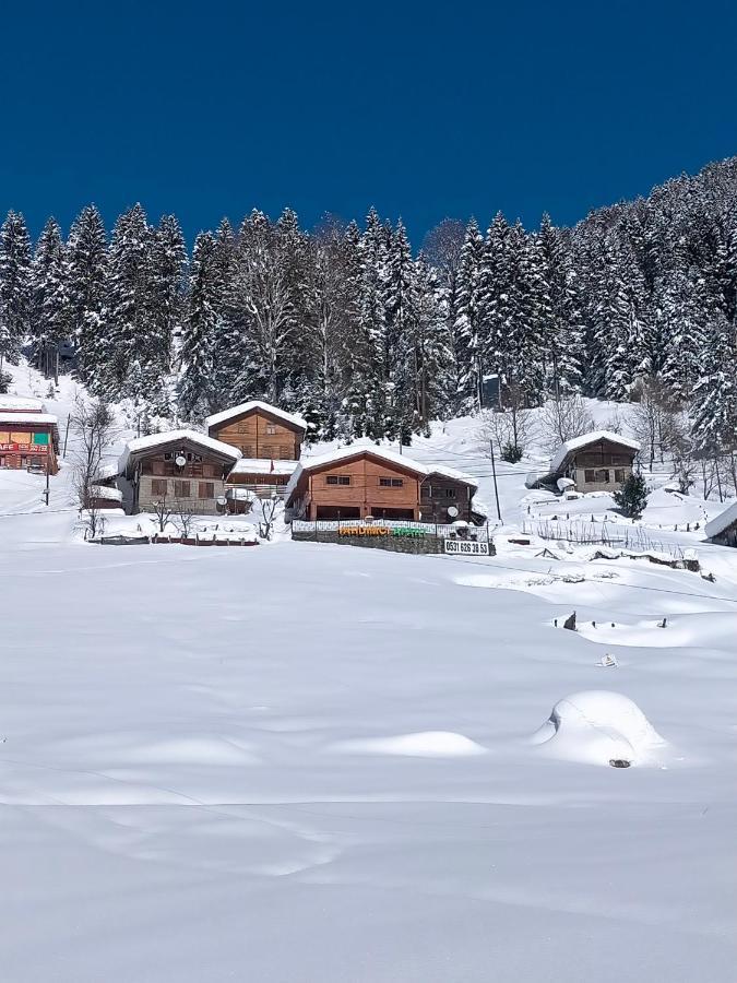 Ayder Yardimci Apart Exterior photo